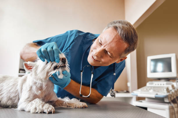 Best Same-Day Emergency Dental Services in Prosperity, SC