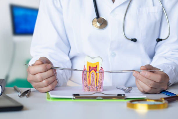Best Pediatric Emergency Dentist in Prosperity, SC